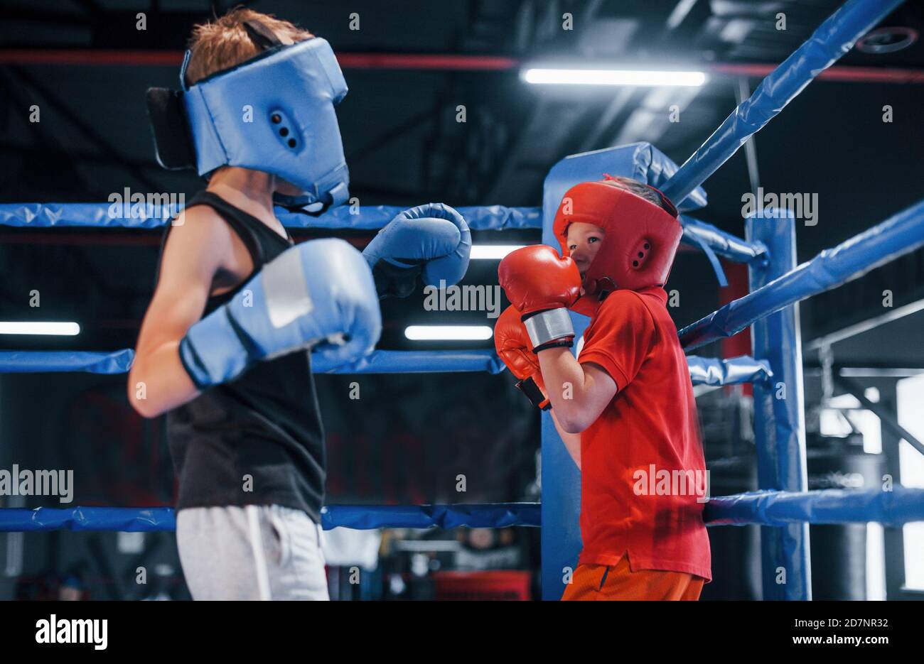 Two boys in protective equipment have sparring and fighting on the