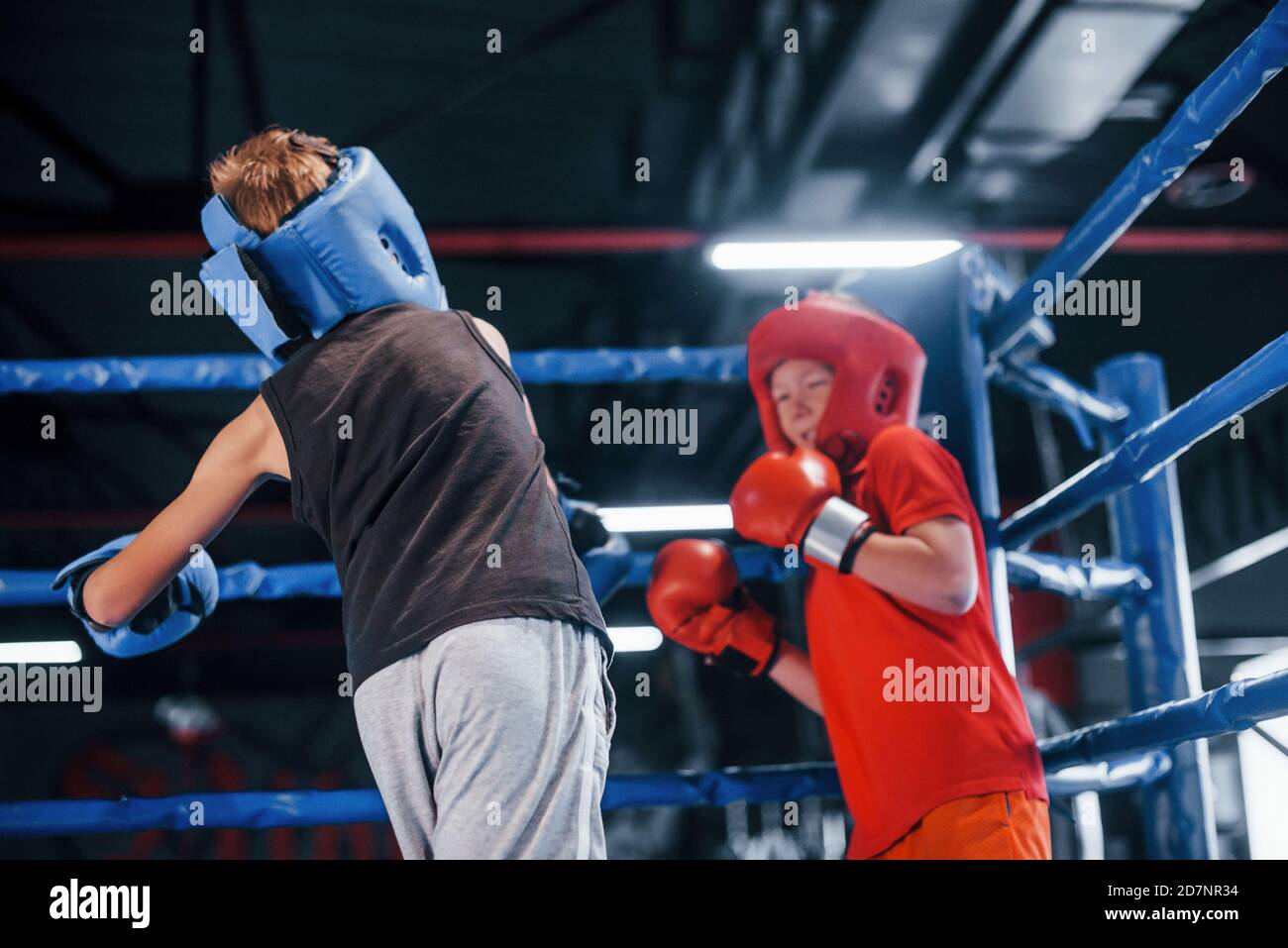 Rough catfight in the boxing ring