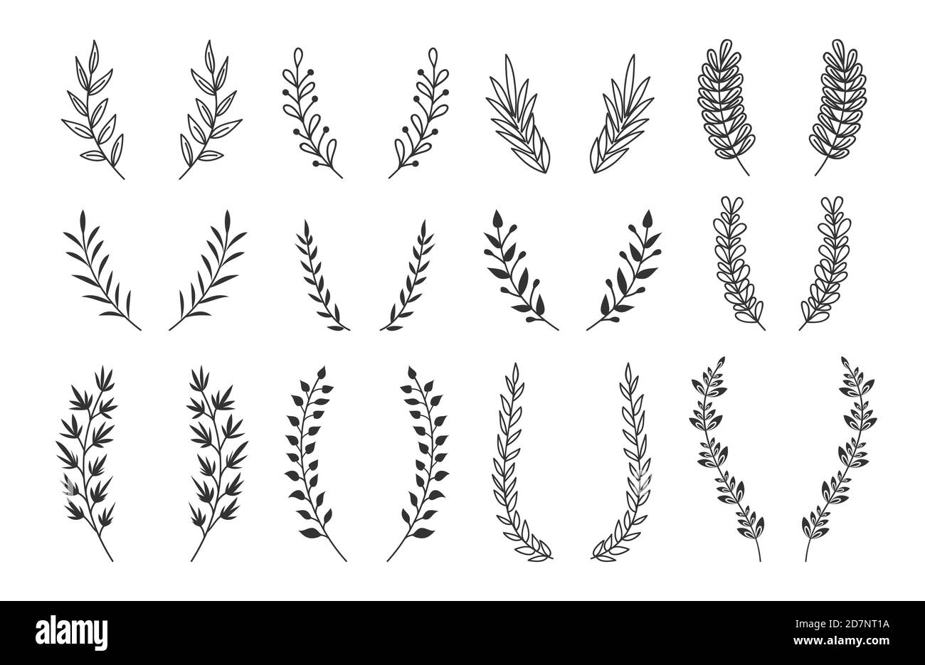Download Laurel Wreath Drawing Black And White Stock Photos Images Alamy