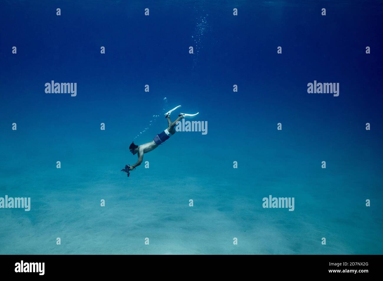 Underwater photographer free diving deep to ocean floor in hawaii Stock  Photo - Alamy