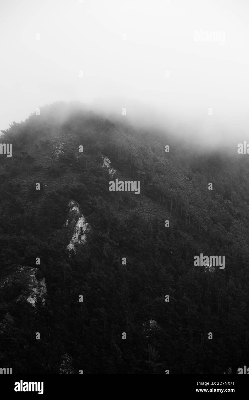 Mountain slope on a foggy morning Stock Photo