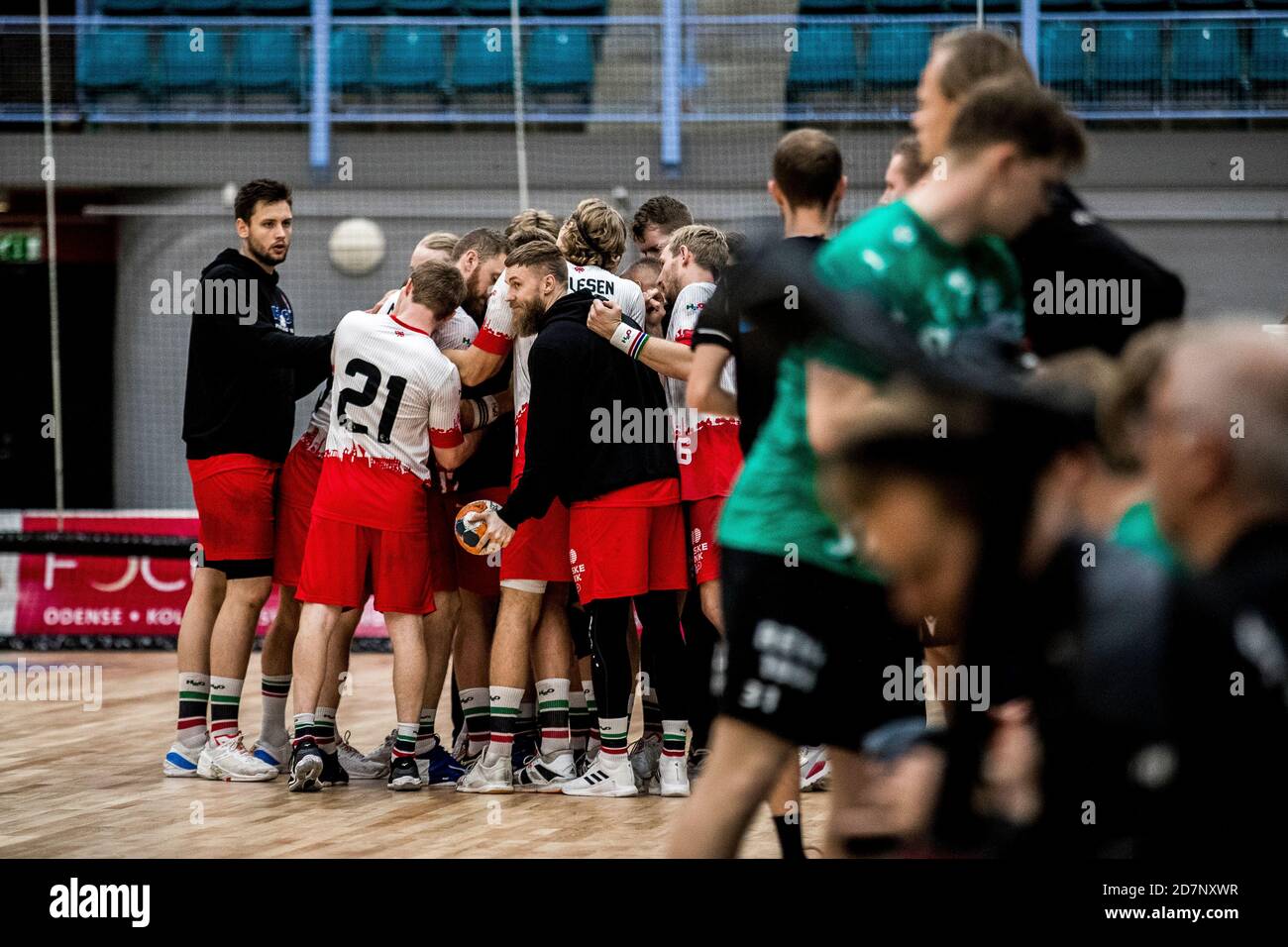 danish handball league