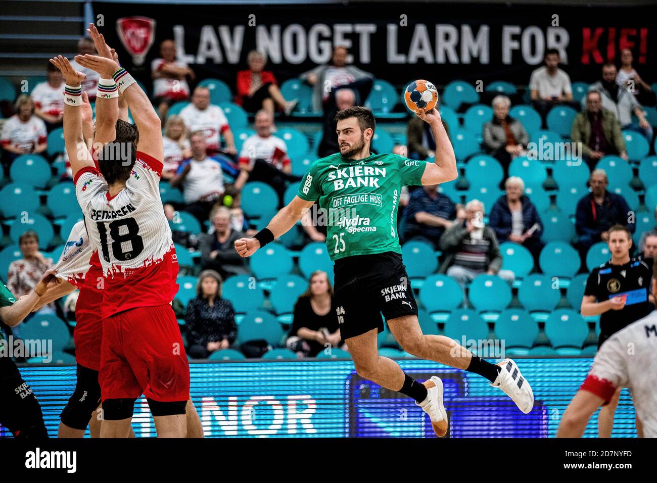 danish handball league