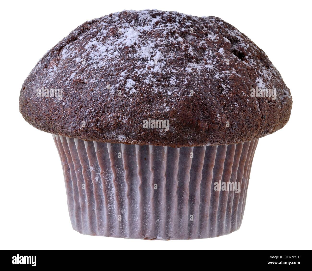 Chocolate muffin decorated with powdered sugar close-up Isolated on a ...