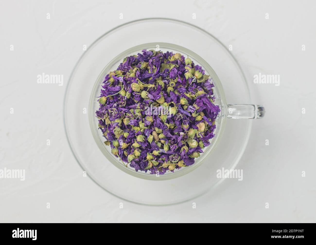Blue Mallow High Resolution Stock Photography And Images Alamy