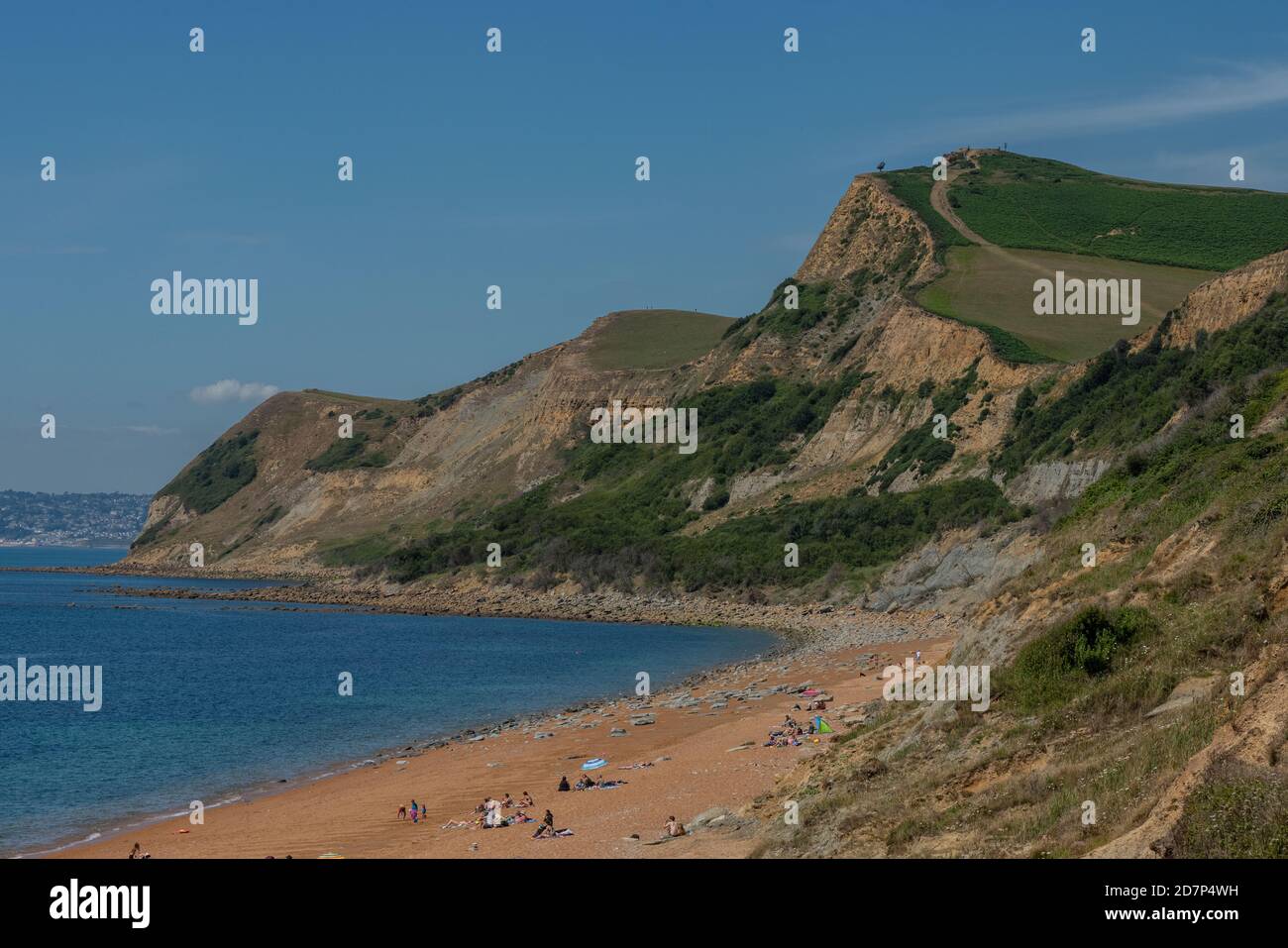 Undercliffs on the West Dorset coast, looking west from Eype to Thorncombe Beacon and beyond to Lyme Regis. Stock Photo