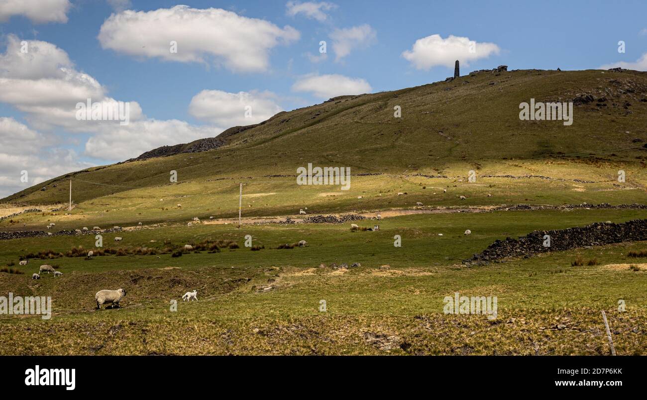 VIew up Pots and Pans Hill, Greenfield, Saddleworth, Oldham, looking towards the obelisk, war memorial. Sunny summer afternoon with blue sky and sheep Stock Photo