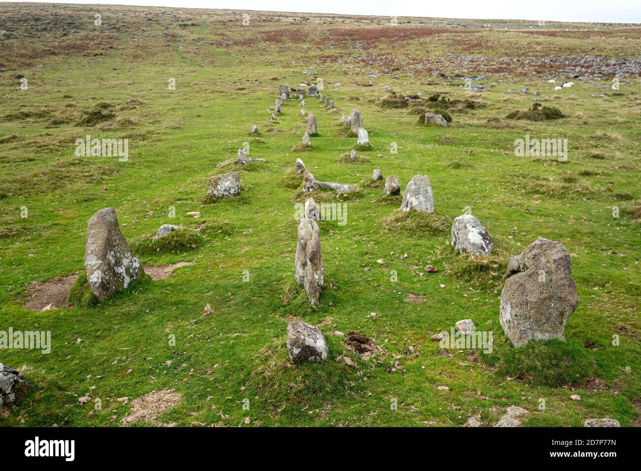 Cosdon Beacon on Dartmoor in Devon Stock Photo Alamy