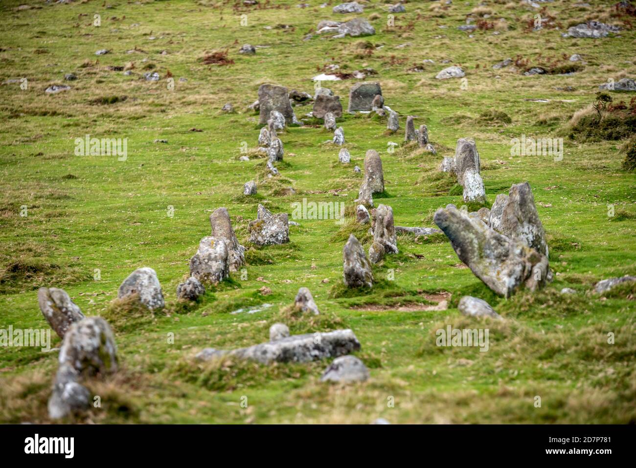 Cosdon Beacon on Dartmoor in Devon Stock Photo Alamy