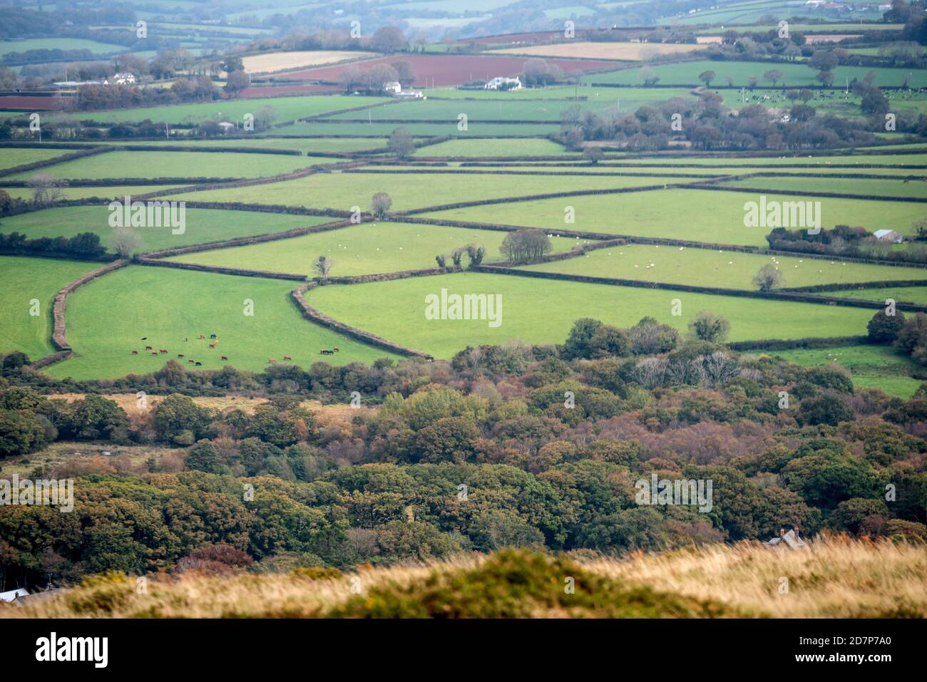 Cosdon Beacon on Dartmoor in Devon Stock Photo Alamy