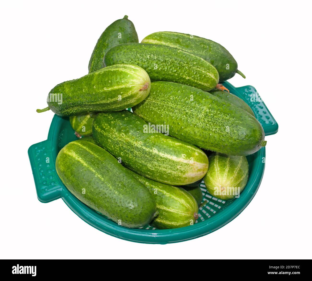 Green cucumbers in a bowl against white background Stock Photo