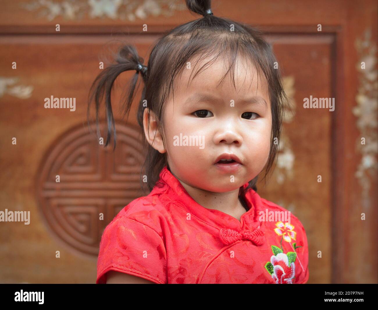 Cute little Thai Chinese toddler girl with funny pigtails wears a traditional red-and-gold Chinese silk dress (cheongsam) during Chinese New Year. Stock Photo