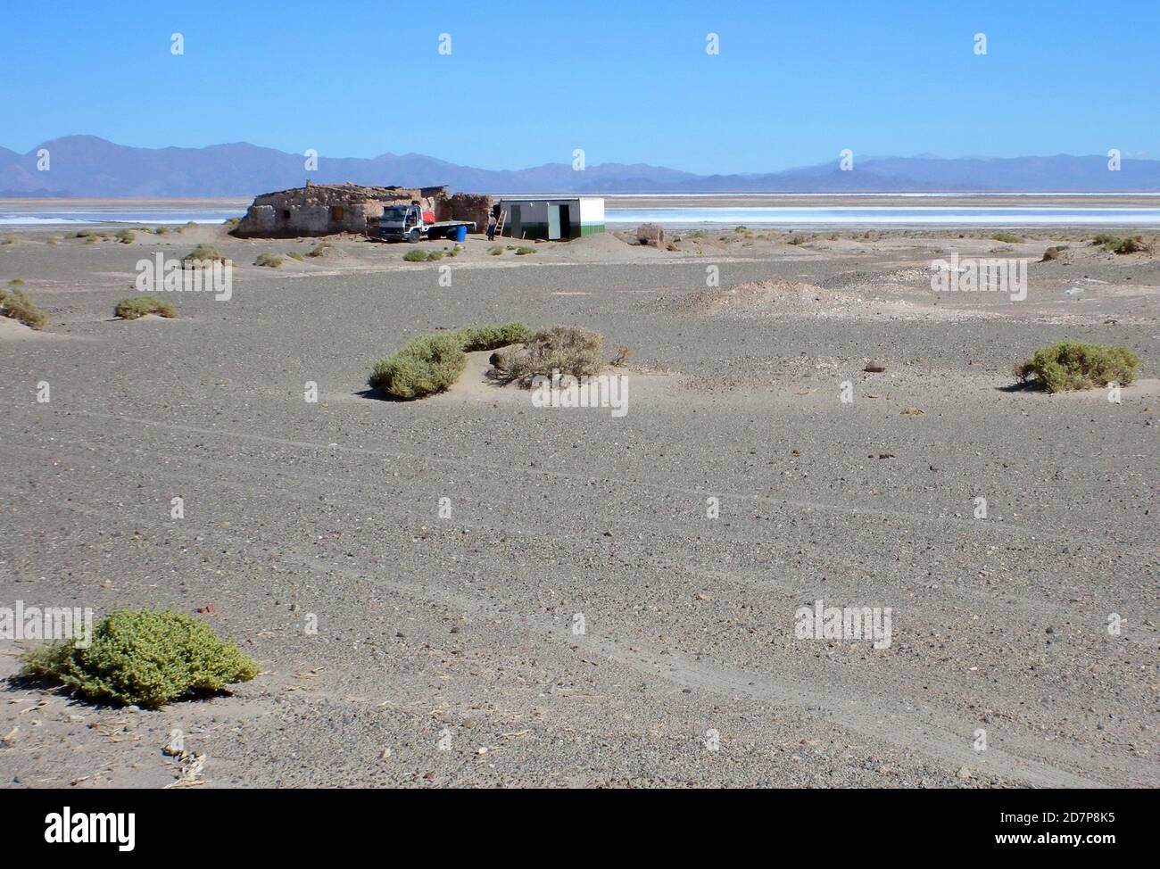 remote homestead on saltflats  Jujuy, Argentina        January Stock Photo
