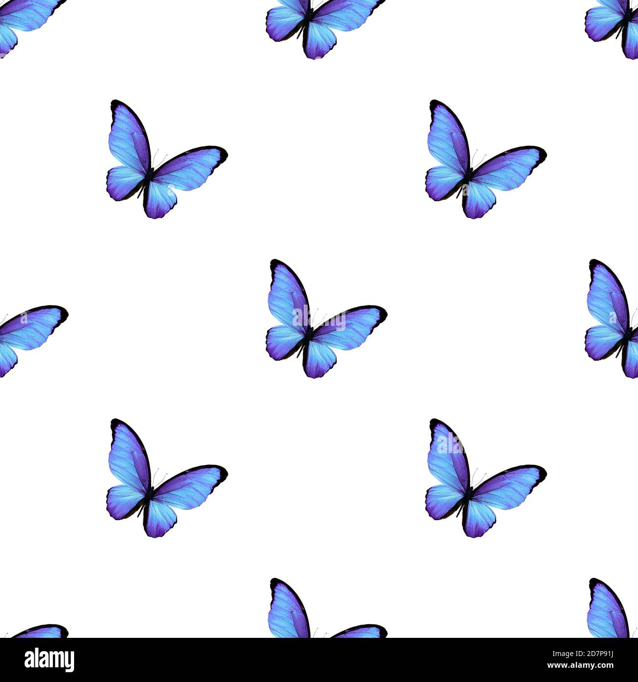 seamless pattern of colored butterflies isolated on white background ...