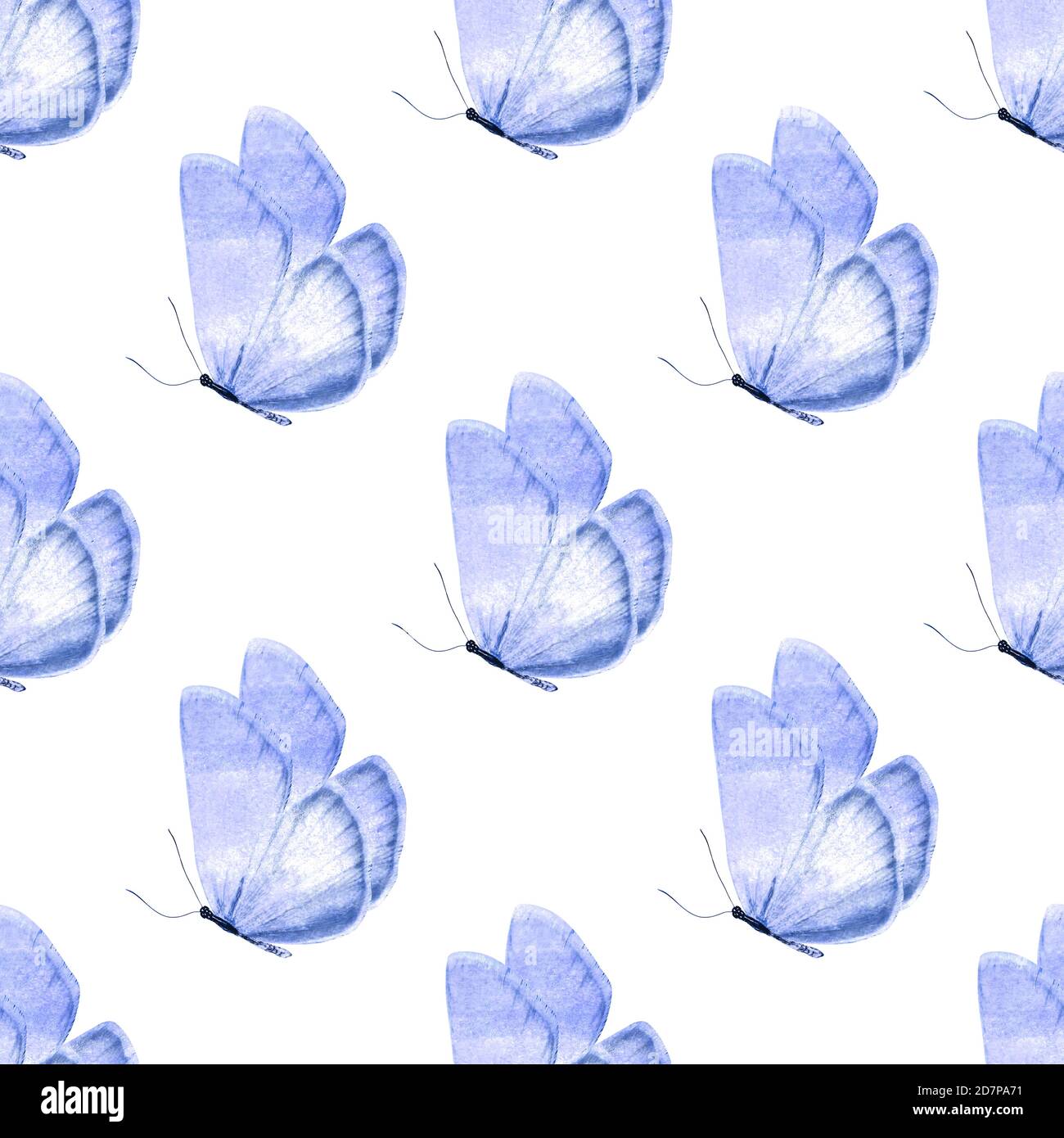 seamless pattern of colored butterflies isolated on white background ...
