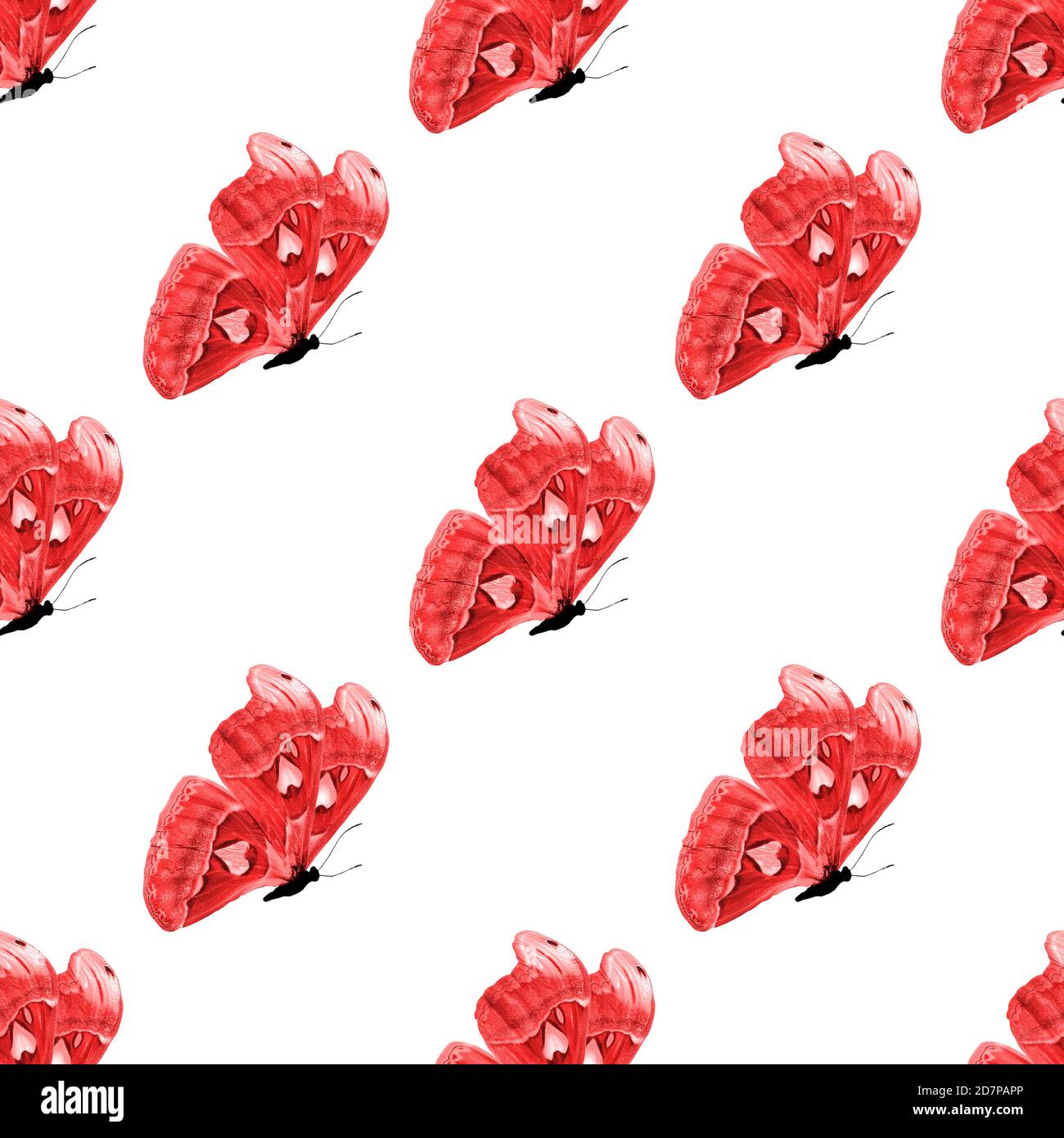 seamless pattern of colored butterflies isolated on white background ...
