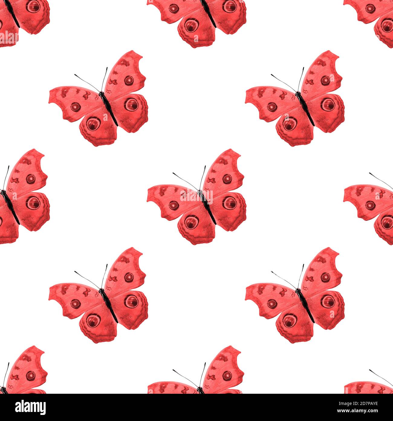 seamless pattern of colored butterflies isolated on white background ...
