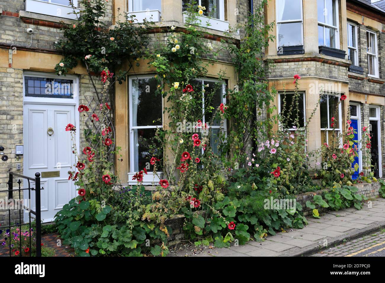 residential houses in Park Parade Street, Cambridge City