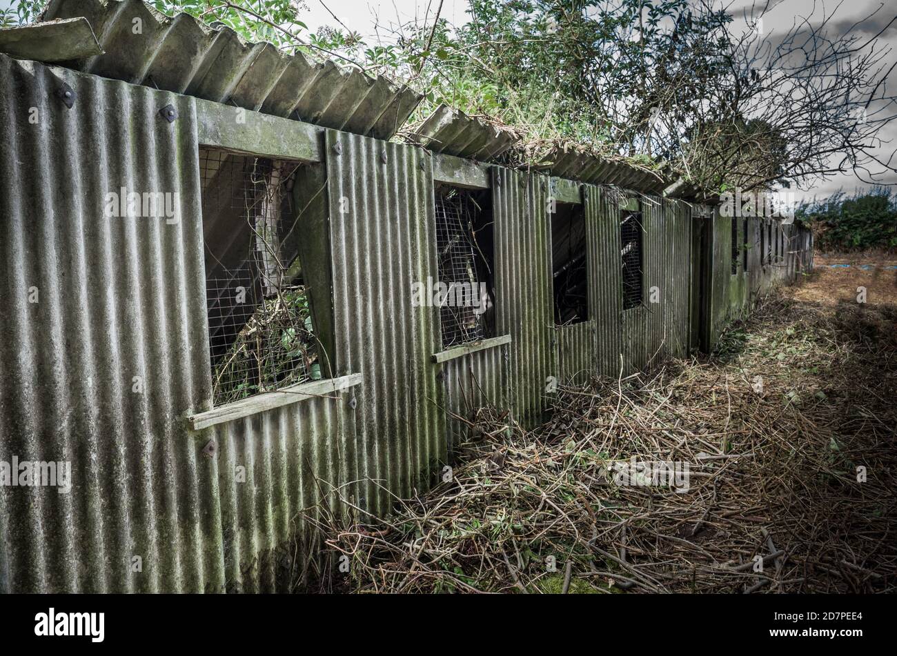 Derelict asbestos outbuilding. Stock Photo