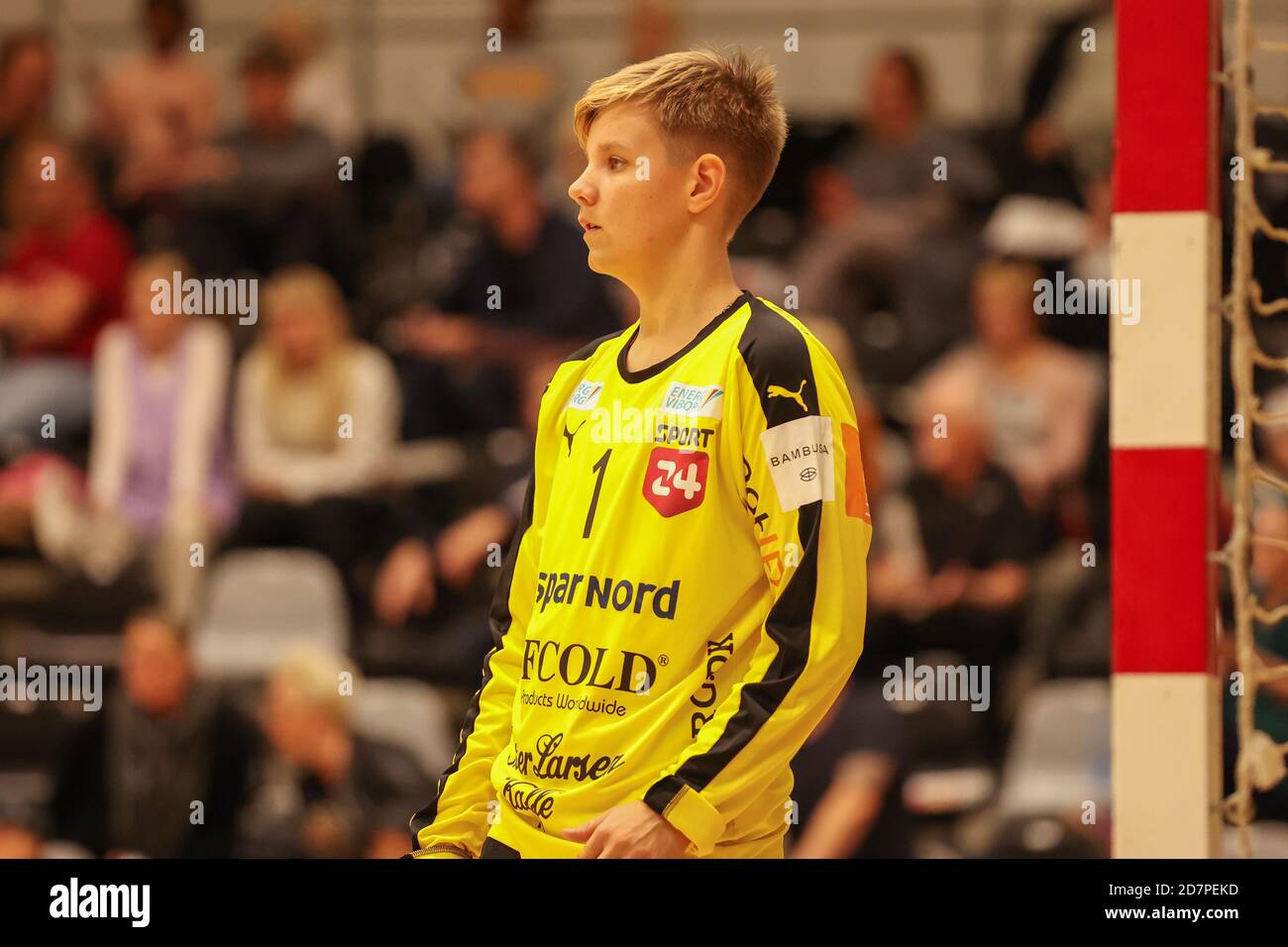 Copenhagen Handball V Viborg Hk High Resolution Stock Photography and  Images - Alamy
