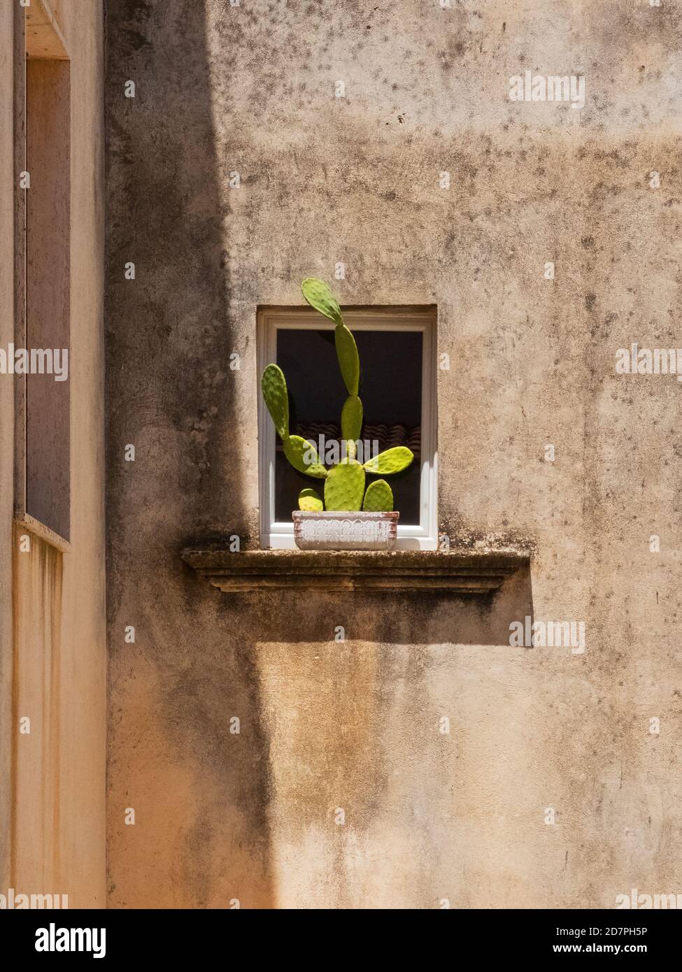 Succulent at the window of an old house in Otranto downtown. Stock Photo