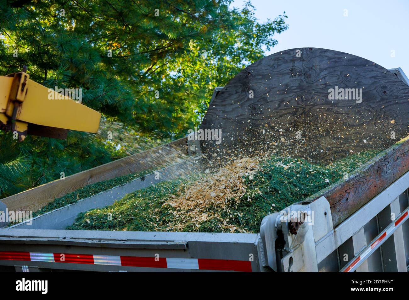 Professional a wood chipper at work machinery shredder placed in for chipping Stock Photo