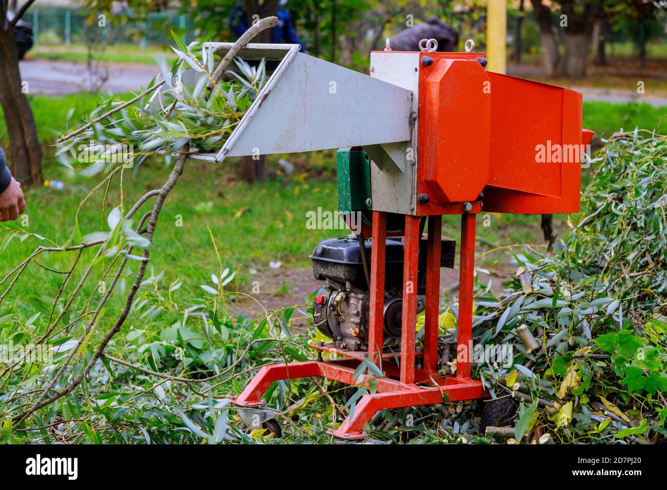Chopper instrument gardener using shredder portable wood chipper Stock Photo