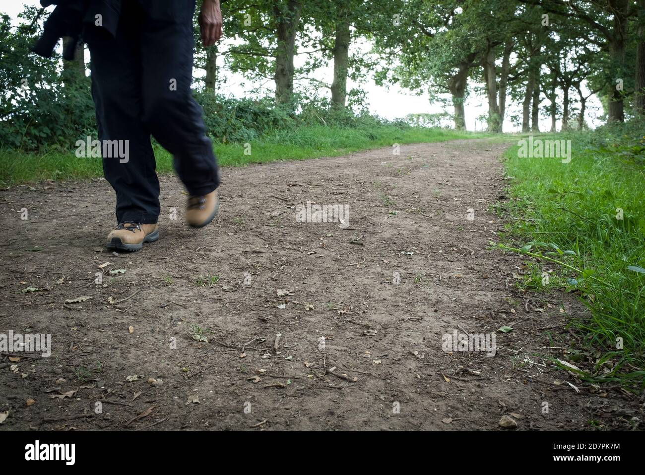 Woman wearing hiking boots walking on a footpath through woods in UK countryside Stock Photo