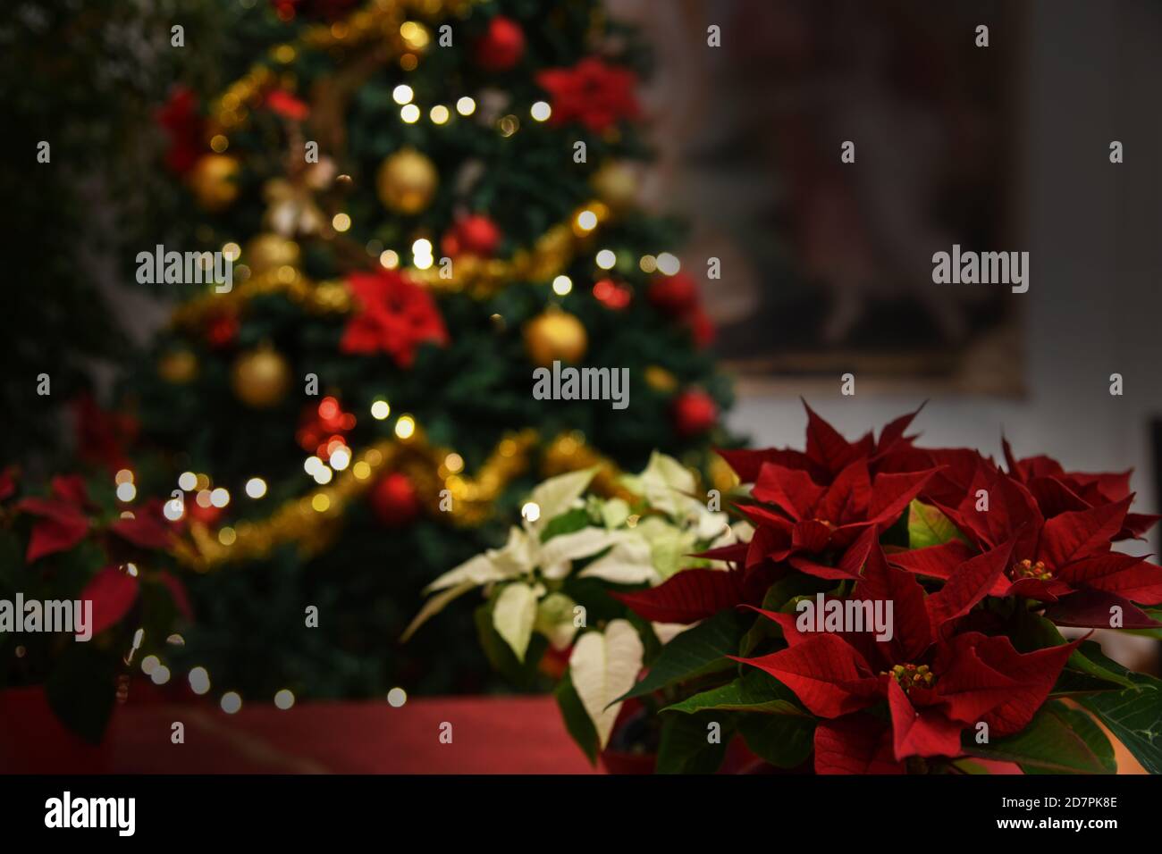 Christmas flowers tree Holiday Stock Photo Alamy
