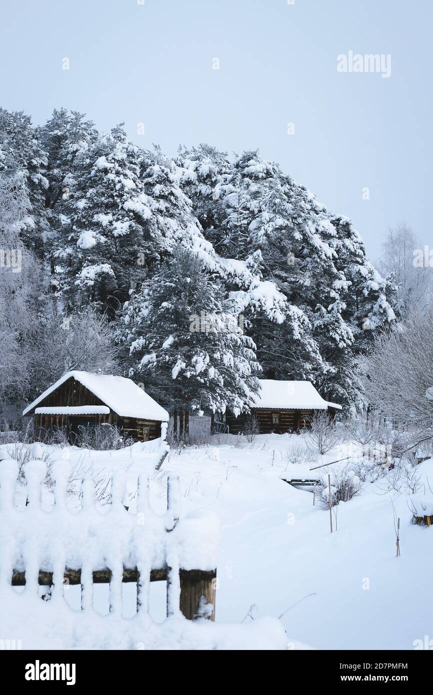 Winter landscape with log cabine, trees in the forest covered with snow ...