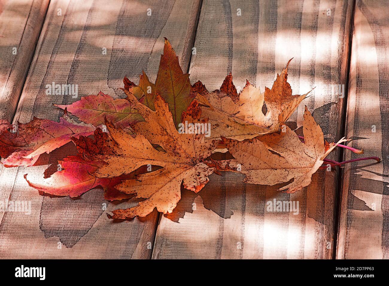 Autumn leaves on wooden table Stock Photo