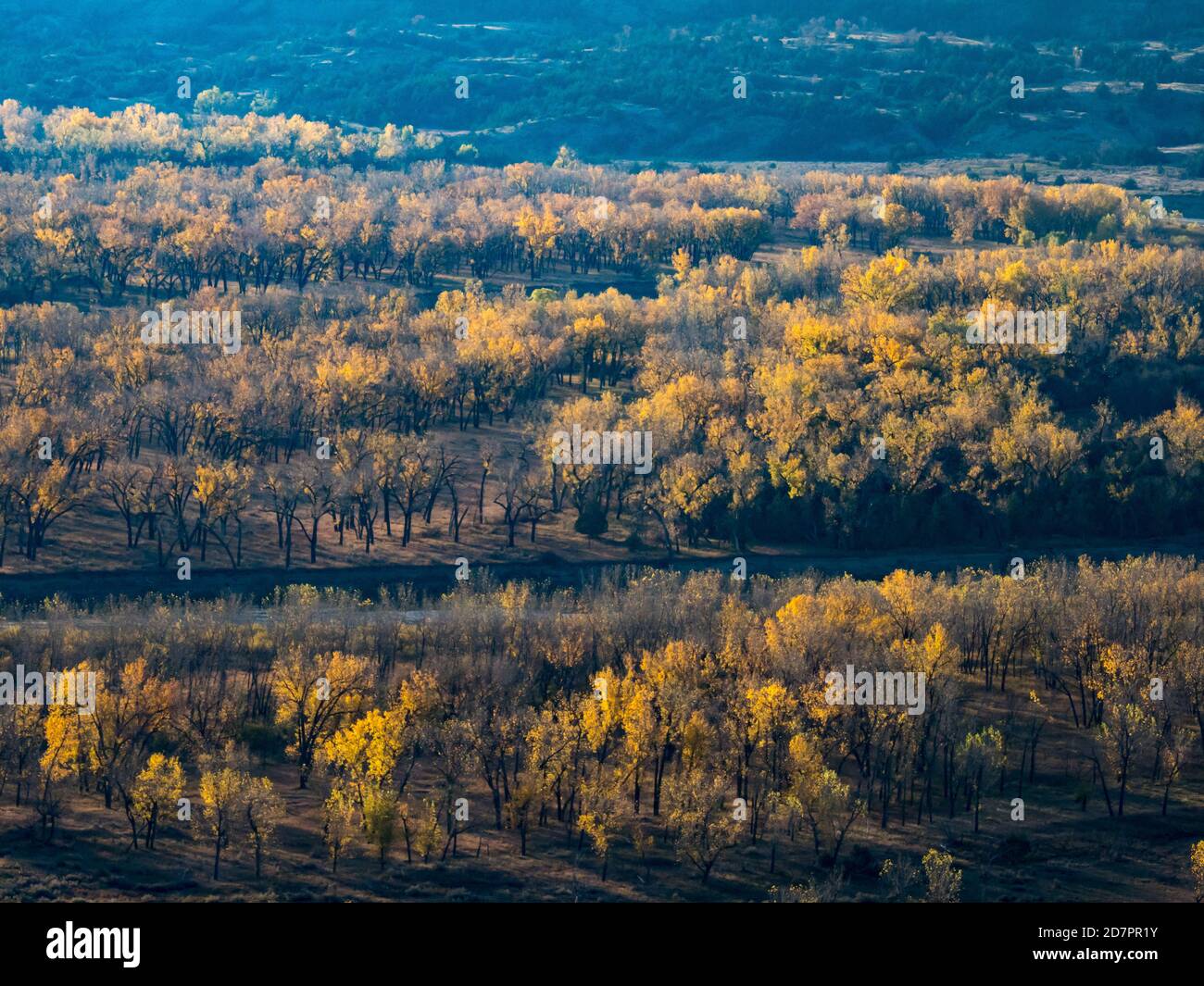 Fall colors along the little missouri river in the Badlands of Theodore