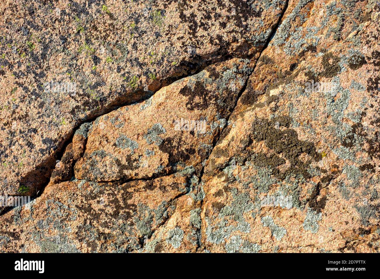 Smooth granite, with lichens, archipelago landscape, rocky coast, archipelago coast, smoegen, archipelago, Bohuslaen province, Vaestra Goetalands Stock Photo