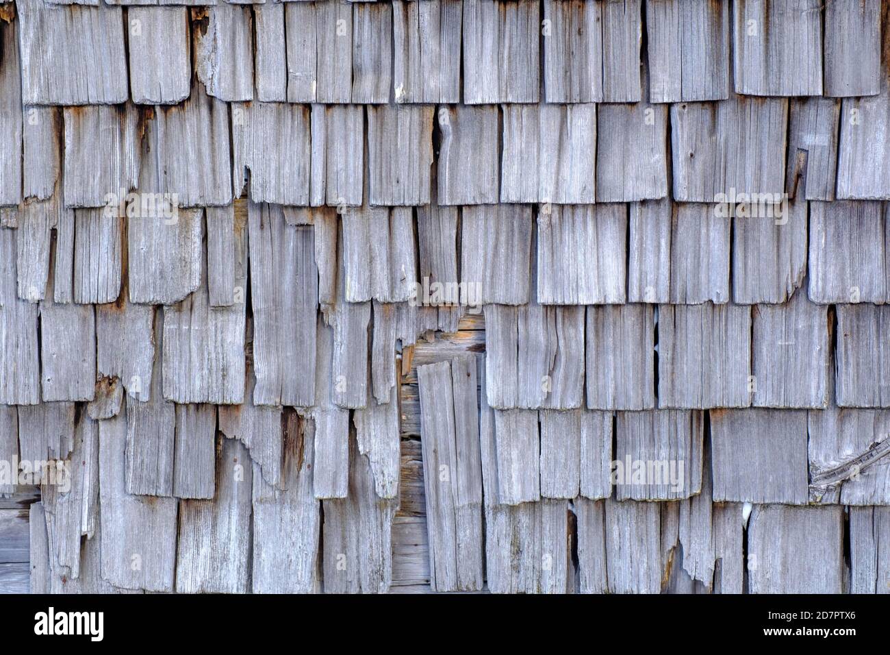 Old wooden shingles, wooden facade, weathered old wood Spitzingalmen, Wendelstein area, Mangfall mountains, Upper Bavaria, Bavaria, Germany Stock Photo