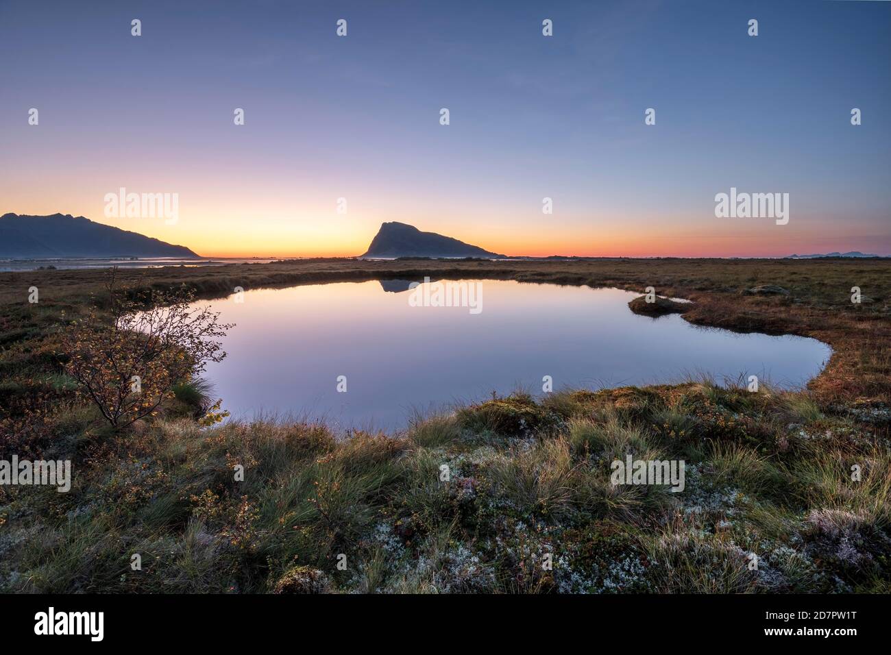 Swampland, dusk is reflected in a small round lake, in the back mountain silhouette on the horizon, Gimsoy, Lofoten, Nordland, Norway Stock Photo