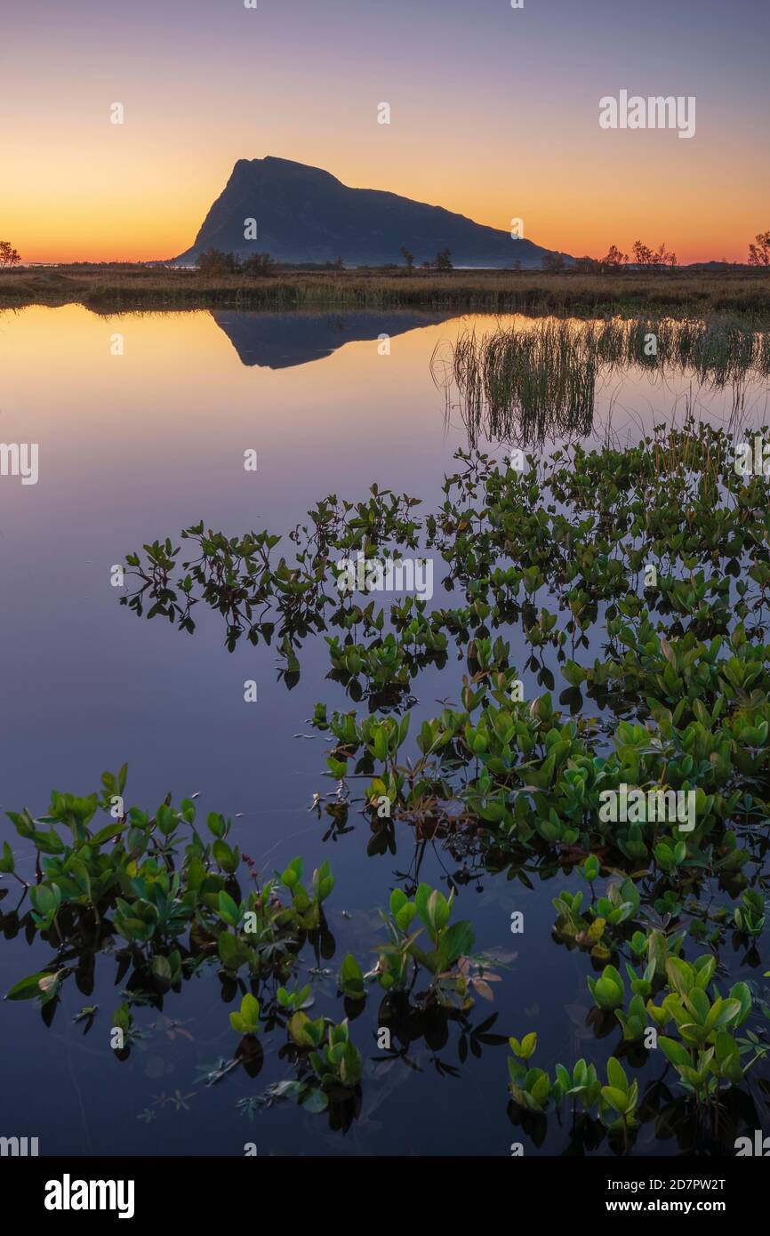Swampland, dusk reflected in water surface, behind mountain silhouette on the horizon, Gimsoy, Lofoten, Nordland, Norway Stock Photo