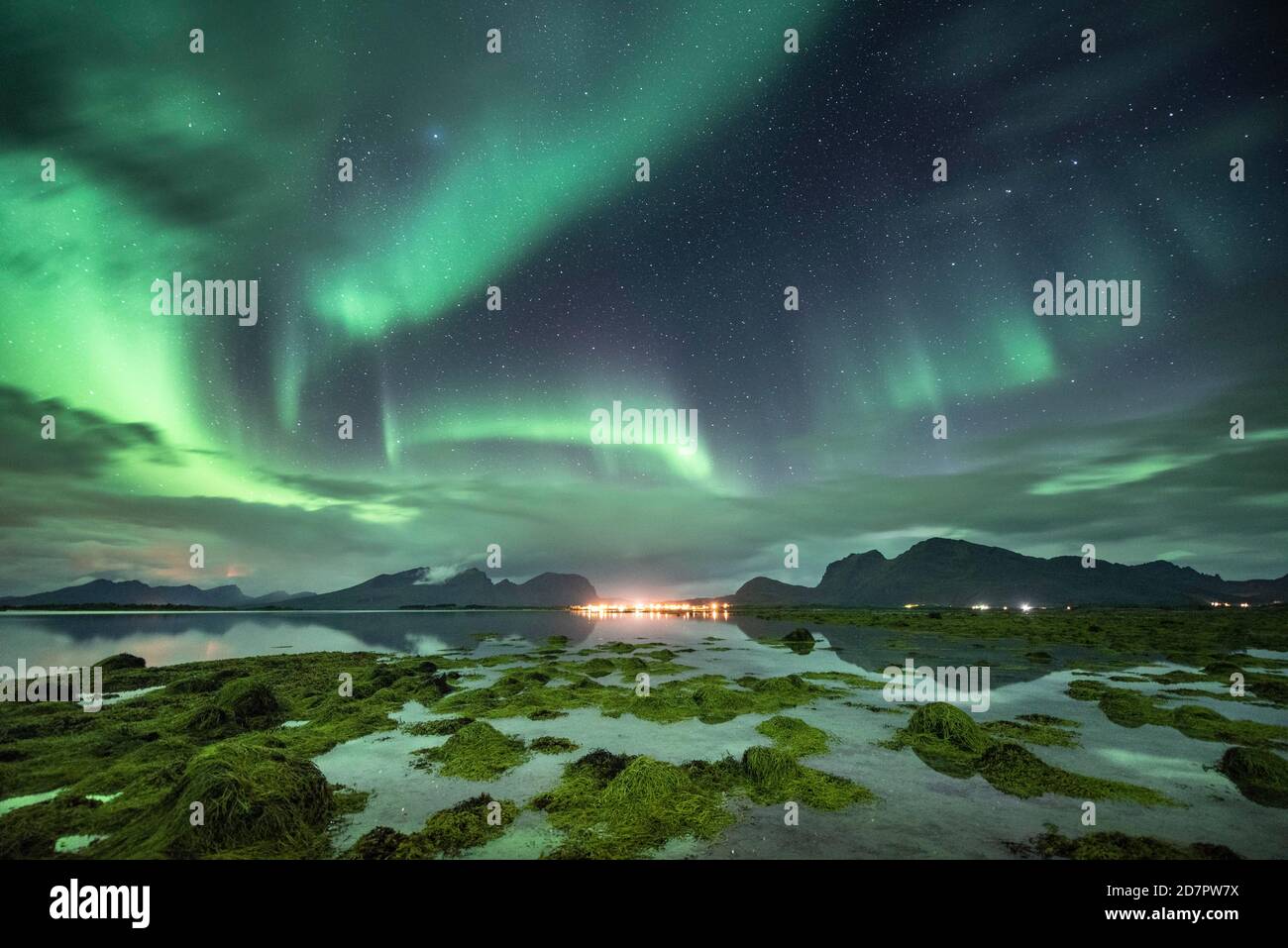 Sea bay (Aurora borealis) with sea grass, night view, starry sky, northern lights Northern Lights, , reflection in the sea Stock Photo