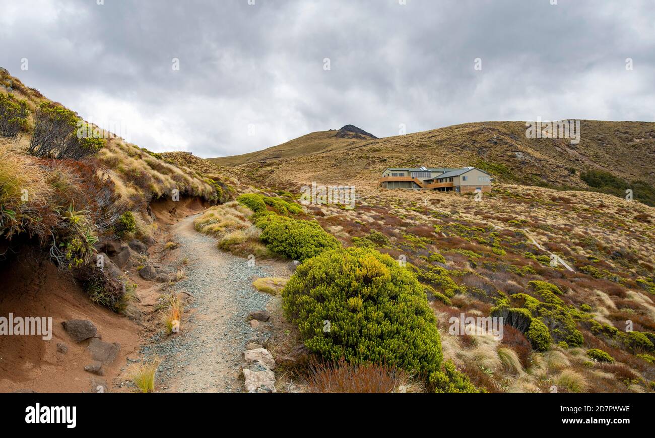 Kepler Track hiking trail, Luxmore Hat, Fiordland National Park, Southland, South Island, New Zealand Stock Photo