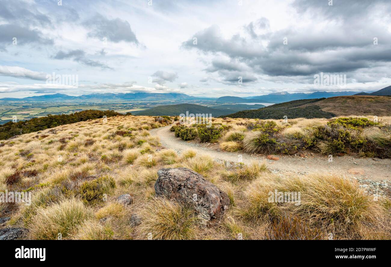 Hiking trail through grassland, Kepler Track, Fiordland National Park, Southland, South Island, New Zealand Stock Photo