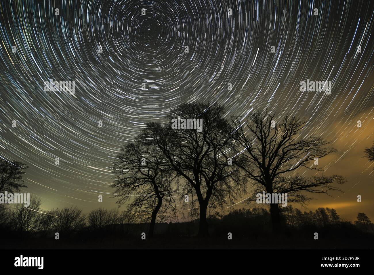 Star trails over trees in the night sky hi-res stock photography and ...