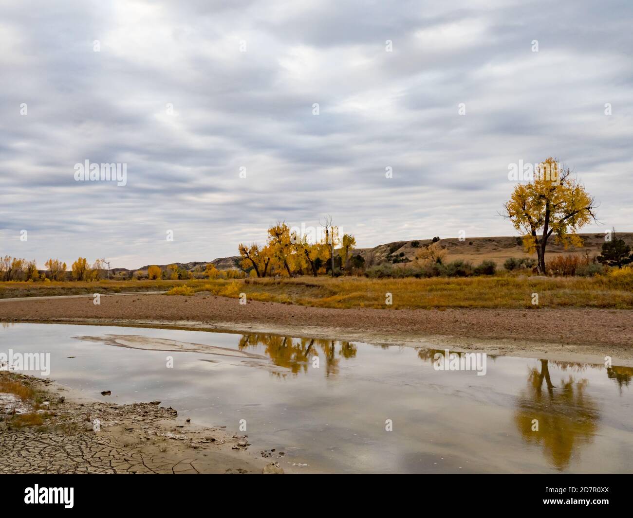 Fall colors along the little missouri river in the Badlands of Theodore