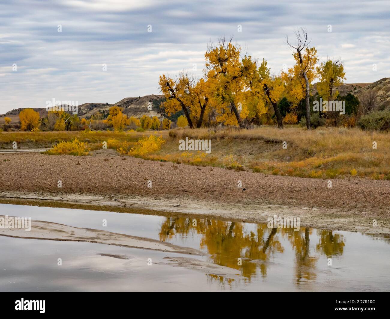 Fall colors along the little missouri river in the Badlands of Theodore Roosevelt National Park,  North Dakota, USA Stock Photo