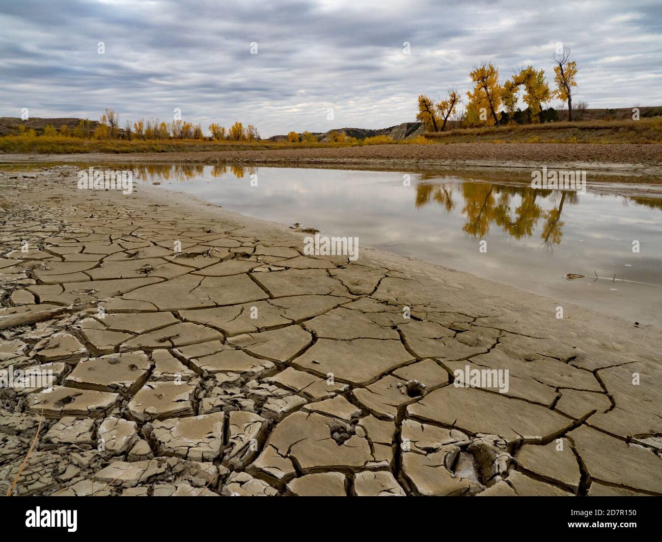 Fall colors along the little missouri river in the Badlands of Theodore