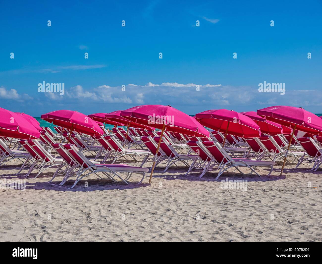 Multiple magenta beach umbrellas and chaise lounges await customers on Miami Beach. Stock Photo