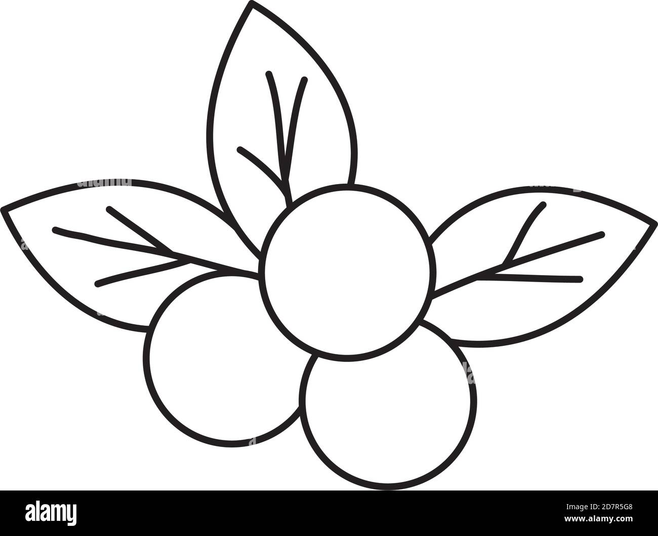 cranberries icon over white background, line style, vector illustration Stock Vector