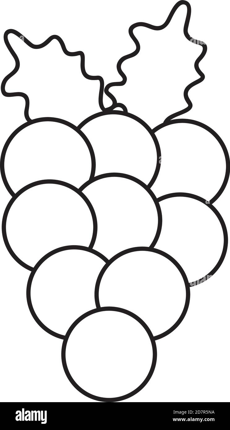 bunch of grapes icon over white background, flat style, vector illustration Stock Vector