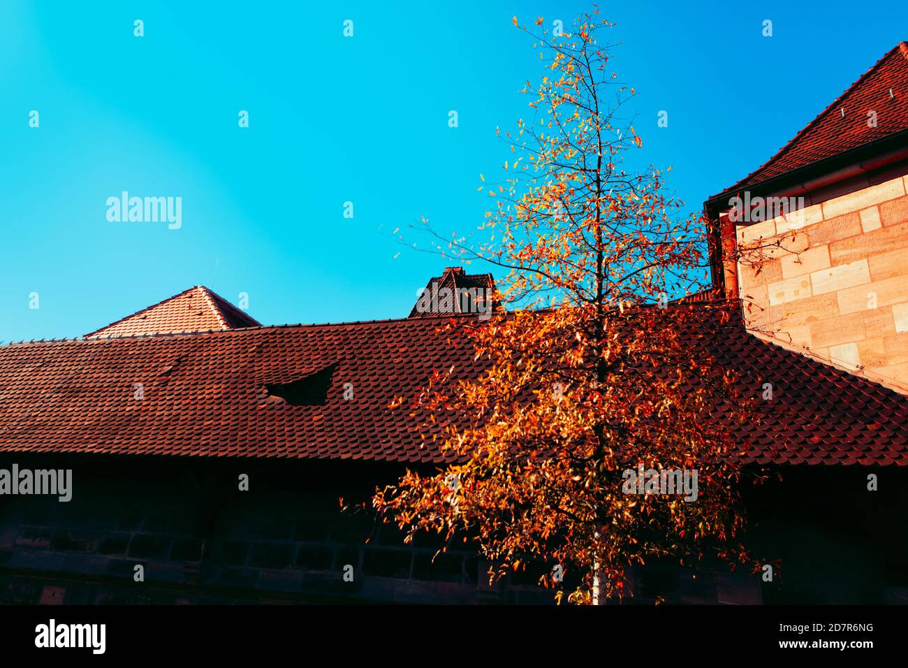 Autumn yellow tree and tiled roof Stock Photo - Alamy