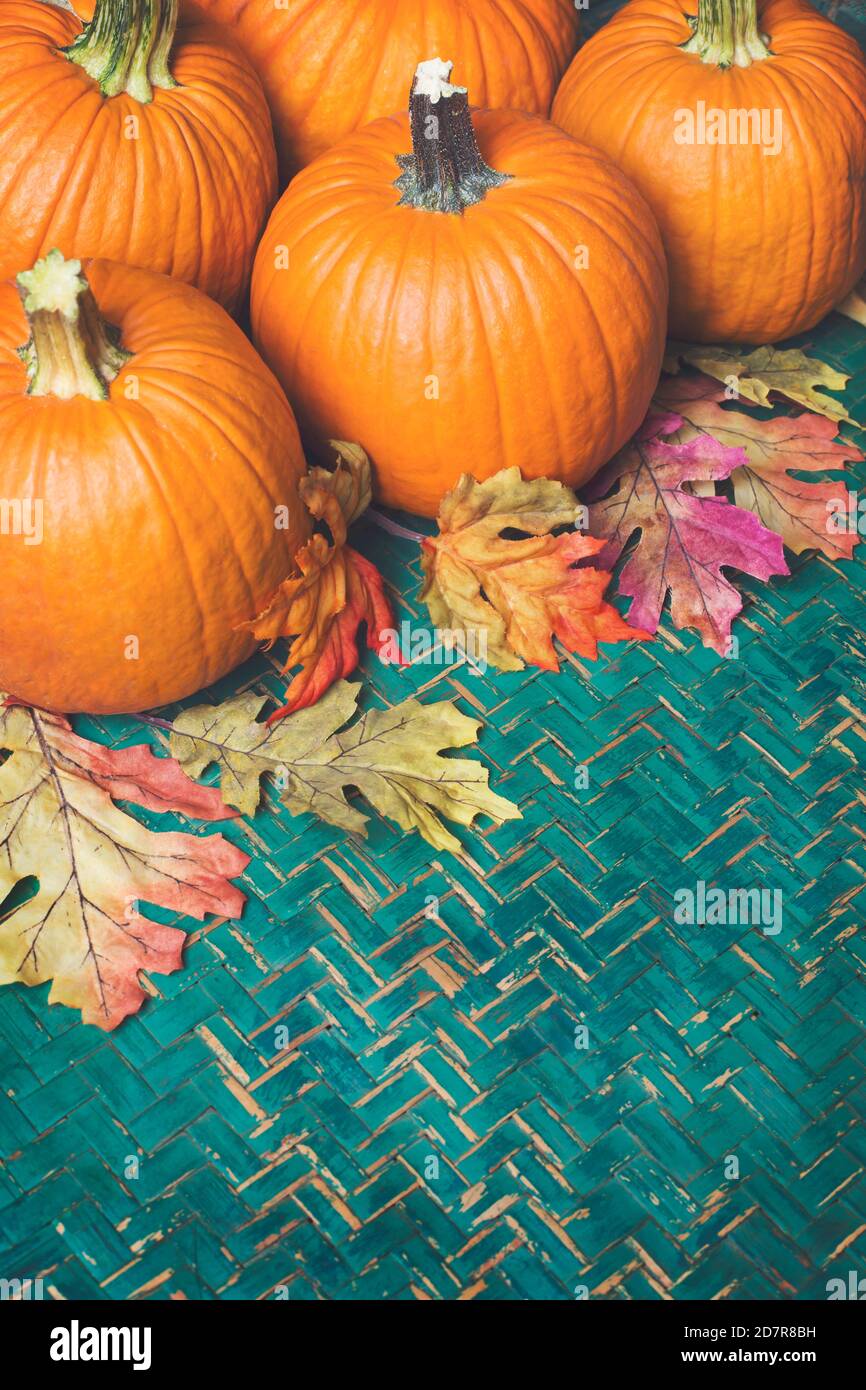 Autumn Thanksgiving Day Background. Halloween Pumpkins, Patch. Beauty  Holiday Autumn Festival Concept Stock Photo - Image of yellow, wood:  332757304, image size:866x1390