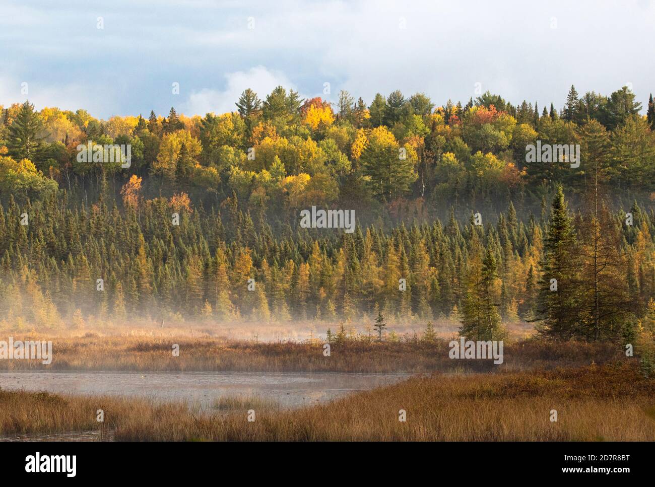 Morning light on a colourful autumn landscape in Algonquin Park Ontario Stock Photo