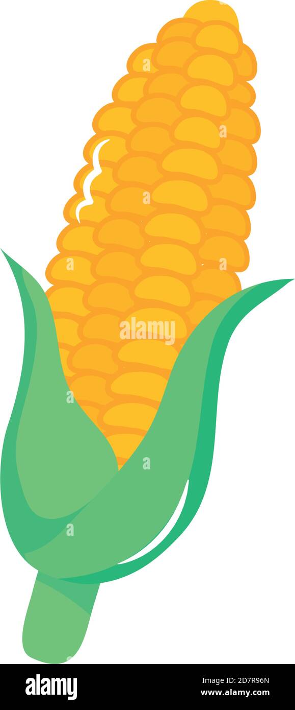 corn cob icon over white background, flat style, vector illustration Stock Vector Image & Art